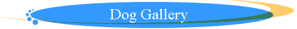 Dog Gallery