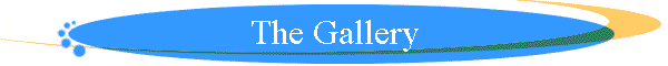 The Gallery